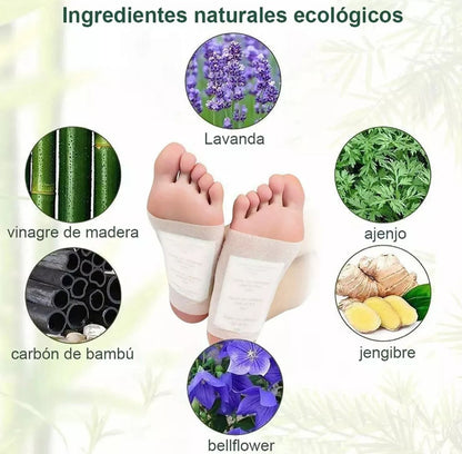 VitalPatch™- Parches Kinokis desintoxicantes
