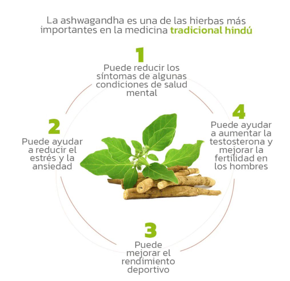 ASHWAGANDHA PREMIUM | 1.000 MG ✨