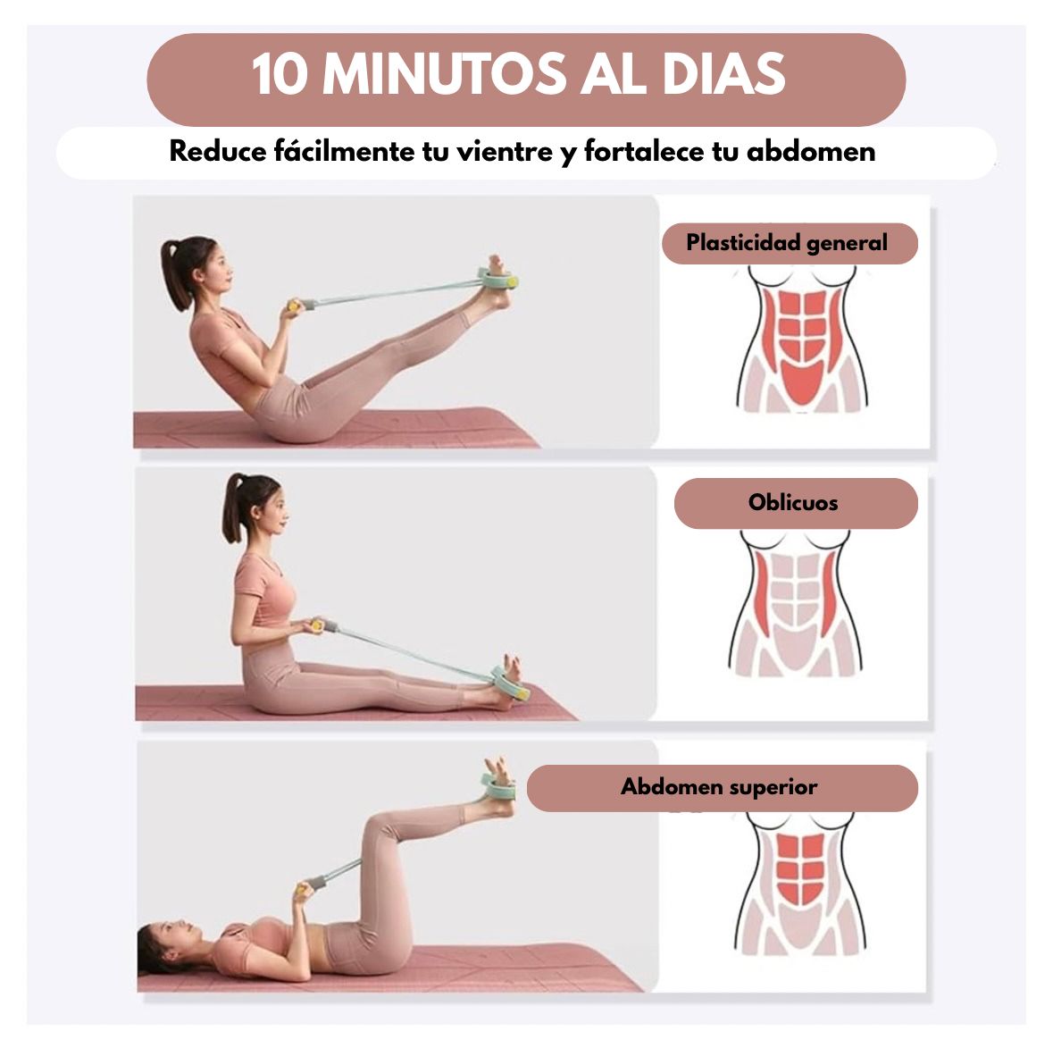 FlexPower™- Ligas De Resistencia  y brazos